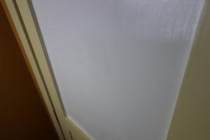 C2 Cabinet paint as shown on this door held up to the chemical cleaning